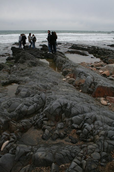 sortie Cotentin 029